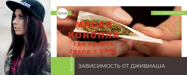 шишки Майский