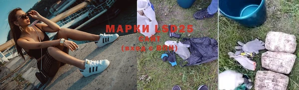 шишки Майский