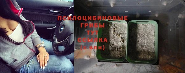 каннабис Магас